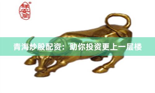 青海炒股配资：助你投资更上一层楼