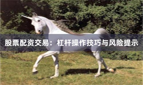 股票配资交易：杠杆操作技巧与风险提示