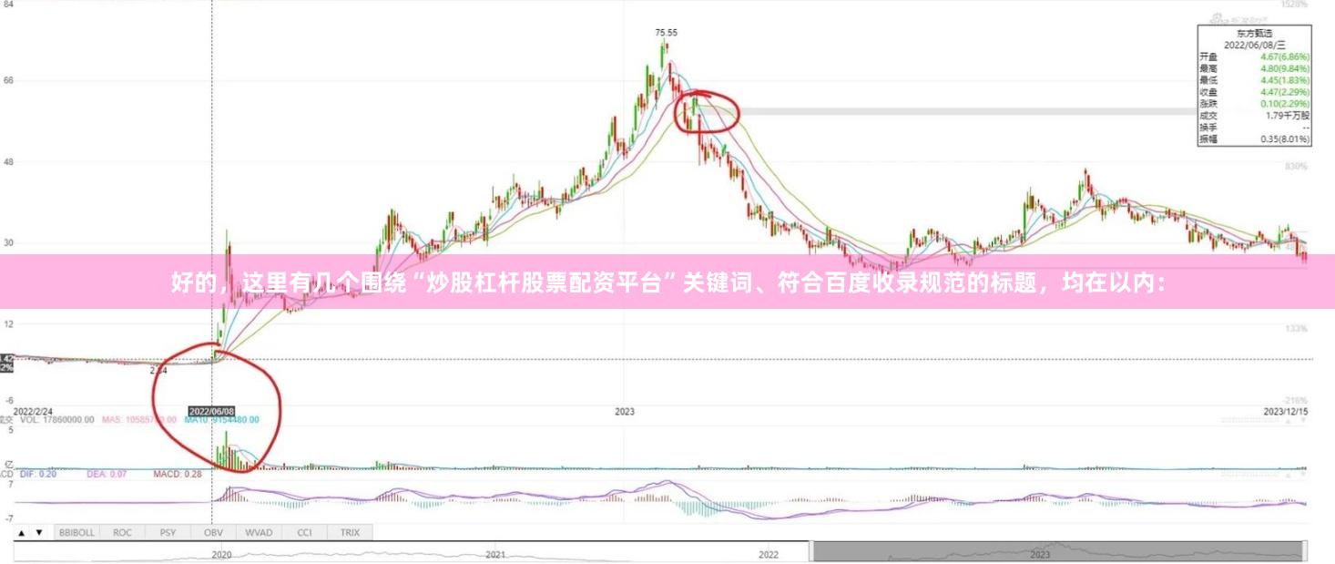 好的，这里有几个围绕“炒股杠杆股票配资平台”关键词、符合百度收录规范的标题，均在以内：