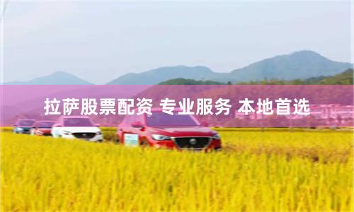 拉萨股票配资 专业服务 本地首选